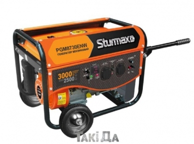 Генератор бензиновий Sturmax PGM8730ENW